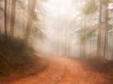 Foggy light ; Коментари:10