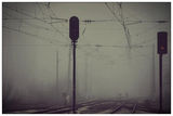 Long misty days... ; comments:47