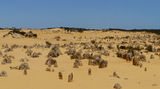 The Pinnacles Desert, Western Australia ; comments:6