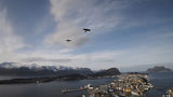 Alesund ; comments:4