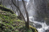 Боянски водопад ; comments:17