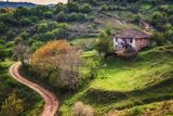 Селски път, къща и едно невероятно приключение ; comments:19