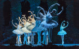 Swan Lake,Russian Imperial Ballet ; Коментари:9