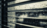 Софийска дъждовна неделя ; comments:4