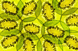 Kiwifruit ; Comments:7