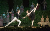 Swan Lake,Russian Imperial Ballet ; comments:9