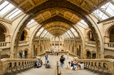 Natural History Museum ; comments:11