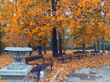 Есен в парка ; Коментари:8