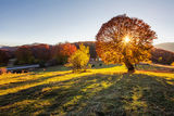 Есен в Осоговска планина ; comments:15
