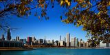 Fall in Chicago ; comments:7