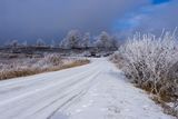 Зима в Босилеградско, Западни покрайнини ; comments:4