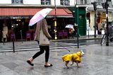 под дъжда в париж ; Comments:3