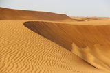 Сафари в пустинята! ; comments:23