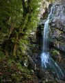 Боянски водопад ; comments:7