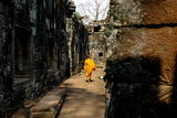 Ta Prohm, Eastern Angkor, Cambodia ; comments:6