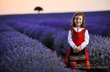 Lavender girl ; comments:7