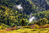 Пролетната гора на резерват Царичина ; comments:10