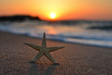 Seastar ; comments:18