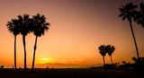 Venice Beach ; comments:10