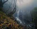 Боянски водопад ; comments:23