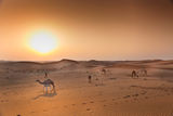Пустинен залез ; comments:12