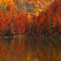 Autumn lake ; Коментари:14