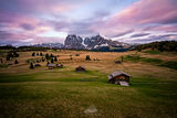 Alpe di Siusi ; Comments:12