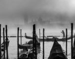 Foggy Venice ; comments:6