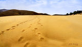 Пустинята Лимнос ; comments:4
