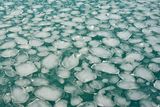 Мозайка - ледено море ; comments:11