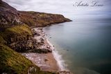 Уелски бряг и 9 тюлена ; comments:5