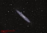Sculptor Galaxy (NGC 253) ; comments:10