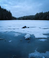 Замръзналото езеро ; comments:1