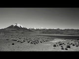 Laguna Miscanti, Atacama ; comments:18