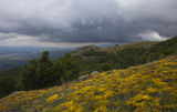 Късна пролет в Стара планина ; comments:38
