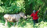 БАБА С ПОМОЩНИК с.ВОДНА ВИДИНСКО ; Коментари:6