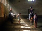 Riding lesson 2 ; Коментари:8