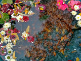 no name ( ID=2104337 ) ; comments:7