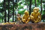 Хълмът на маймуните, Пукет ; comments:2
