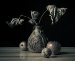 Still Life With Walnut ; comments:15