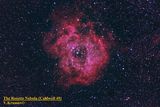 The Rosette Nebula (Caldwell 49) ; comments:11