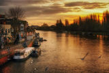 Kingston Upon Thames ; comments:14