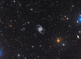 Спиралната галактика NGC 1365, всред много други ; comments:11