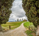 Tuscany ; comments:10
