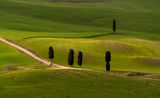 Tuscany ; comments:11