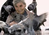 Жената с гълъбите ; comments:15