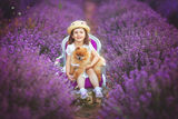 Lavender girl ; comments:1