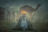 Old Rajasthani man ; Коментари:19