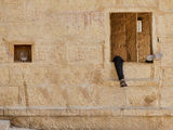 Jaisalmer Fort ; Коментари:11