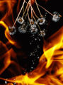 dandelions on fire ; Коментари:1